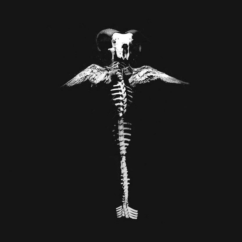 Generation Vipers 'Howl and Filth' 12" LP