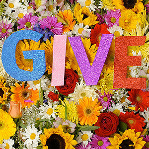 Give 's/t' 12" LP