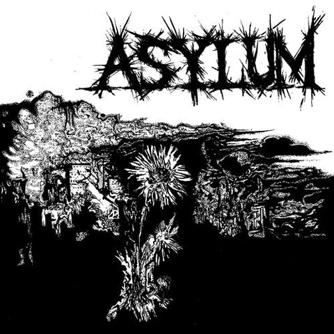 Asylum 's/t' 7"