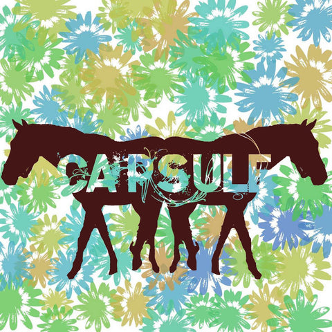 Capsule 's/t' 12" LP