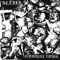 Sex Vid 'Communal Living' 12" LP