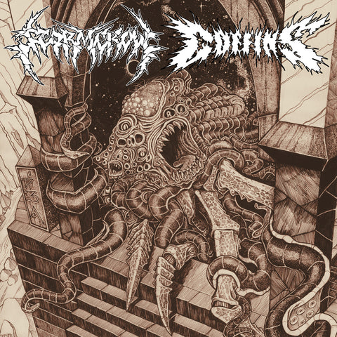 Stormcrow / Coffins Split 12" LP